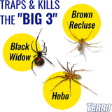 TERRO T3206-DS Spider & Insect Trap Display