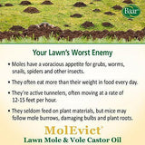 Baar Lawn Mole Castor Oil Molevict for Moles and Voles 32 Oz