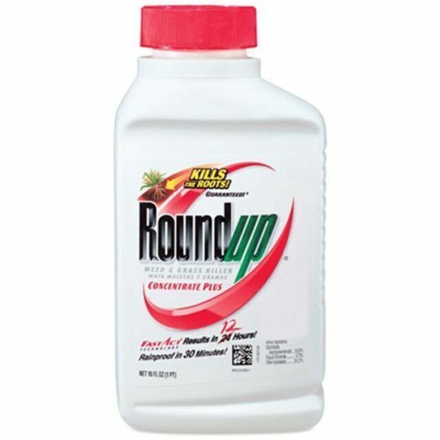 Roundup Weed and Grass Killer Concentrate Plus - 16oz 2 Pack