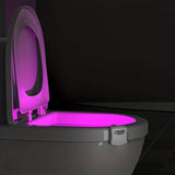 US 3-6 Pack Motion Sensor Activated LED 8 Colors Changing Toilet Night Light: Lot Size - 3 Pack