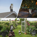 Large head owl decoy Protect garden Yard Pest Repellent Bird Scarecrow outdoor