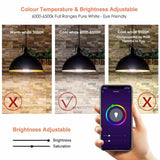 2-PACK Avatar Controls Smart WiFi LED Light Bulb Google Alexa Dimmable BR30 E26