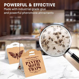 GOOD EARTH SUPPLY Premium Pantry Moth Traps Eco Friendly with Pheromone Attractants (6 Pack)