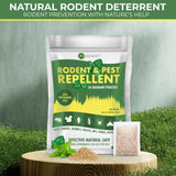 Natural Peppermint Mouse Rodent Rat Repellent 10 pack Pest Insect Control