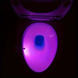 US 3-6 Pack Motion Sensor Activated LED 8 Colors Changing Toilet Night Light: Lot Size - 3 Pack