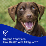 AlkaGuard Dental Water Additive for Dogs & Cats, Oral Care Aid for Plaque/Tartar