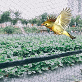 7FT 33FT Anti Bird Netting Pond Net Protection Crops Plants Garden Mesh 5X20M