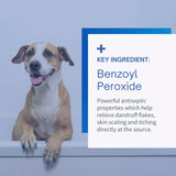 SensoVet Benzoyl Peroxide Medicated Shampoo for Cats & Dogs Treats Dandruff