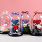 Eternal Teddy Bear Fresh Rose Flowers In Glass Dome With LED Light In A Flask Immortal Rose Valentine's Day Mother's Day Gifts