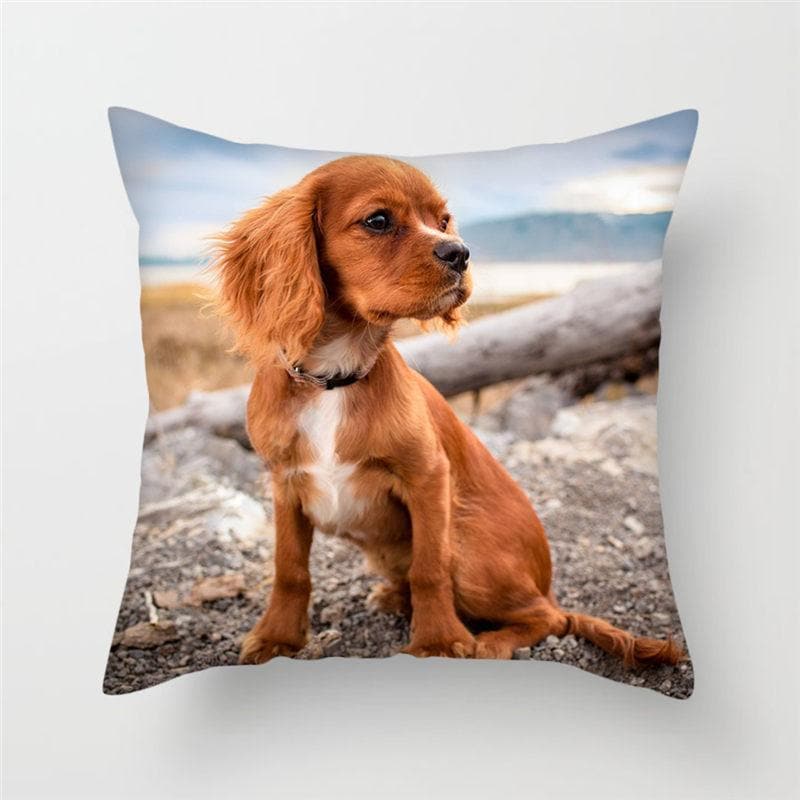 Pet Photo Custom Personalized Unique Pillow Mother's Day Sale