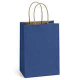 BagDream Kraft Paper Bags 100Pcs 5.25x3.75x8 Inches Small Paper Gift Bags with Handles Wedding Party Favor Bags Shopping Retail Merchandise Bags Navy Blue Gift Bags Paper Sacks Bulk