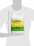 Southern Ag Chelated Liquid Iron, 1 Gallon