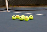 Penn Championship Extra Duty Felt Tennis Balls - 6 Cans, 18 Balls