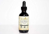 Little Warrior - Organic Children's Immunity Booster - 2 oz Delicious Liquid Supplement - by Khroma Herbs