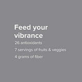 Vibrant Health, Maximum Vibrance, Complete Vegan Meal Shake with Plant-Based Protein, Vanilla Bean, 15 Servings