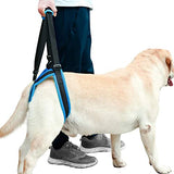 ROZKITCH Pet Dog Support Harness Rear Lifting Harness Veterinarian Approved for Old K9 Helps with Poor Stability, Joint Injuries Elderly and Arthritis ACL Rehabilitation Rehab L Blue