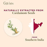 Gya Labs Cardamom Essential Oil - 100% Natural Cardamom Oil - Spicy & Slightly Sweet Scent (0.34 fl oz)