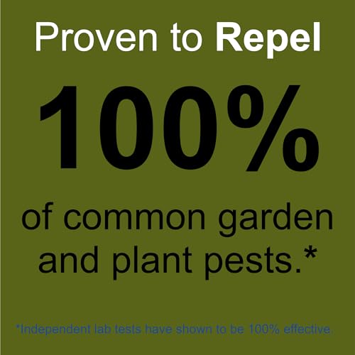 Plant and Garden Pest Control Spray by Premo Guard - 32 oz - Kills Aphids, Spider Mites, Gnats, Whiteflies, Beetles, Caterpillars and Fungus - Fast Acting & Effective - Child and Pet Safe