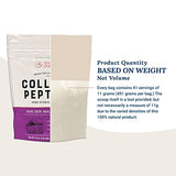 Live Conscious Collagen Powder Hydrolyzed Collagen Peptides Type I & III - Keto & Paleo Friendly - Unflavored - 20 Servings, 7.8 oz
