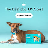 Embark Breed & Health Kit - Dog DNA Test - Discover Breed, Ancestry, Relative Finder, Genetic Health, Traits, COI