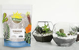 Terrarium Potting Soil Mix (8 Quarts), w/Blended Filtering Charcoal Custom Made for Terrariums