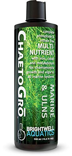 Brightwell Aquatics Chaeto GRO - Multi-Nutrient Supplement for Chaetomorpha Growth in All Marine Aquariums, 500 ML
