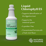 Nature's Sunshine Liquid Chlorophyll Extra Strength - Immunity Support, Detox & Cleanse, Chlorophyll Liquid Drops with Spearmint Oil, Natural Energy Boost, Internal Deodorant - 16 Fl Oz