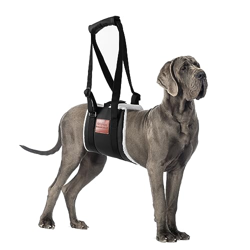 S-ETOVUS Dog Sling for Back Legs, Dog Lift Harness, Velcro Dog Sling for Large Dogs Hind Leg Support, Elderly Dog Lifter, Help Canie Hip Arthritis K9 Cruciate Ligament Rehabilitation (Medium) Black