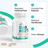 Organic Irish Sea Moss Pills - Wildcrafted Dr Sebi Inspired Seamoss Blend with Turmeric, Burdock Root & Bladderwrack, Enhanced with Black Pepper - 60 Capsules