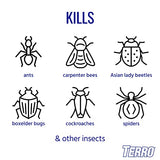 TERRO T1700SR 2 Pack 19 oz Outdoor Ant Killer Spray, White