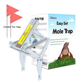 Garsum Mole Traps That Kill, EasySet Vole Gopher Trap for Lawns, Reusable Quick and Clean Kill,1 Eliminator Scissor Trap