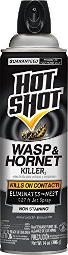 Hot Shot Wasp & Hornet Killer Spray, For Insects Eliminates The Nest, Sprays Up Tp 27 Feet, 14 fl Ounce