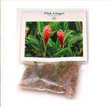 Hawaiian Pink Ginger Roots Alpinia Purpurata1 Package KV1 Discount Hawaiian Gifts