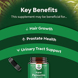 Extra Strength Saw Palmetto Extract - Advanced Saw Palmetto for Women and Men's Hair Growth and Urinary Support with Plant Sterols and Flavonoids - 500mg Herbal Saw Palmetto Supplement - 100 Capsules
