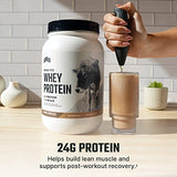 Levels Grass Fed 100% Whey Protein, No GMOs, Double Chocolate, 2LB