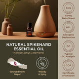 Gya Labs Spikenard Essential Oil for Diffuser - 100% Natural Spikenard Oil - Spikenard Oil Essential Oil Aromatherapy, Skin, Candles, Soaps - Warm, Spicy Yet Sweet Scent (0.34 Fl Oz)