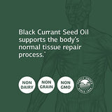 Standard Process Black Currant Seed Oil - Immune Support, Blood Flow Support, and Tissue Repair Support with Whole Food Blend of Black Currant Seed Oil and Gamma-Linoleic Acid - 180 Softgels