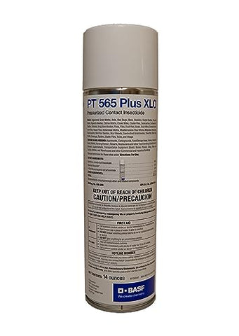 BASF - PT 565 Plus XLO - Pressurized Insecticide - 14oz