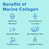 Further Food Premium Marine Collagen Peptides | Wild-Caught, Keto Protein Powder | Hydrolyzed Collagen Powder for Hair, Skin, Nails, Bones & Joints…