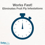 Safer Brand Home SH500SR Indoor Fruit Fly Trap – Ready-to-Use, Non-Staining, No synthetic Insecticides – 2 Traps, Blue