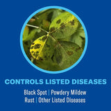 BioAdvanced 3-in-1 Insect, Disease & Plant Mite Control, Concentrate II, 32 FOZ