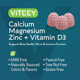 Calcium, Magnesium and Zinc Gummies with Vitamin D3 - Supports Bone Health, Nerve & Immune Function - Dietary Vitamin Supplements, For Women, Men, & Teens, Gluten Free, Non GMO Chewable Fruit Flavored