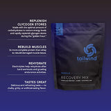Tailwind Nutrition Rebuild Recovery Drink Mix, Complete Protein with Electrolytes and Carbohydrates, Free of Gluten, Soy, and Dairy, Vegan, 15 Servings, Vanilla