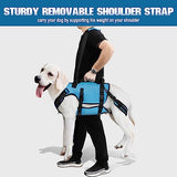 Dog Lift Harness - Petnanny Dog Sling Carrier for Large Elderly Dogs Support Harness for Rear Back Legs Helps, Dog Lift Sling Carrier for Medium Dog Hind Leg Recovery, Old, Disabled, Joint Injuries(M)