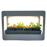 Venus Fly Trap Terrarium - for Indoor Growing - Perfect for Growing Carnivorous Plants Indoors - 16 Hour Automatic Timer -