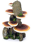 Penn-Plax Deco-Replicas Tree Trunk with Shelf Mushrooms Aquarium Decoration – Safe for Freshwater and Saltwater Fish Tanks – Medium