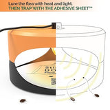 Orange and Dark Gray Aspectek Sticky Dome Flea Trap with 2 Sticky Discs. Odorless Insect Traps, Effective for Indoor Use - 2 Pack