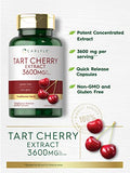 Carlyle Tart Cherry Extract Capsules | 200 Count | Non-GMO and Gluten Free Formula | Traditional Herb Supplement, Tart Cherry, Rice Powder, Gelatin Capsule, Vegetable Magnesium Stearate, Silica