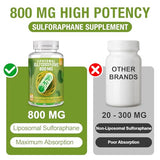 800 MG Liposomal Sulforaphane, Powerful Dual-Delivery for Maximum Absorption & Potency, Full-Spectrum Broccoli Extract, Antioxidant & Liver Supplement, 60 Softgels