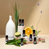Cliganic Organic Bergamot Essential Oil, 100% Pure Natural for Aromatherapy | Non-GMO Verified